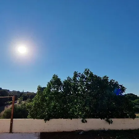 Trullo Di Nonno Gino *